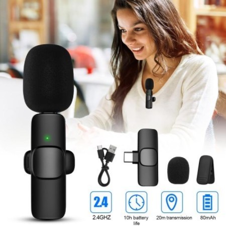 Portable Wireless Microphone
